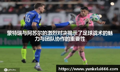 zoty中欧官方网站